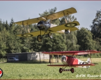 TSR Watermark - 0352